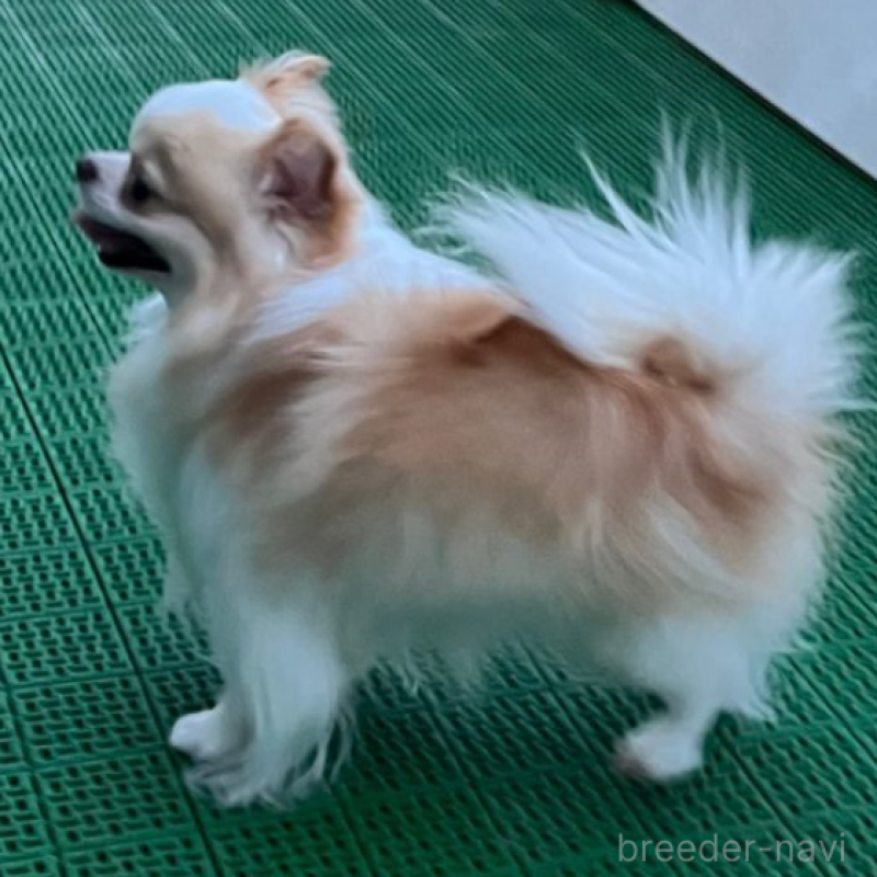 ルークくん1枚目